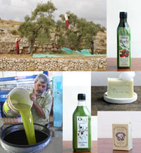 パレスチナのオリーブオイル、石鹸